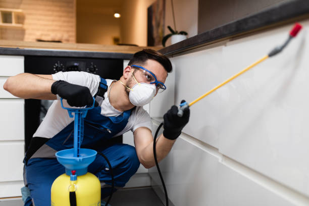 Best Best Pest Control Companies  in Havana, FL