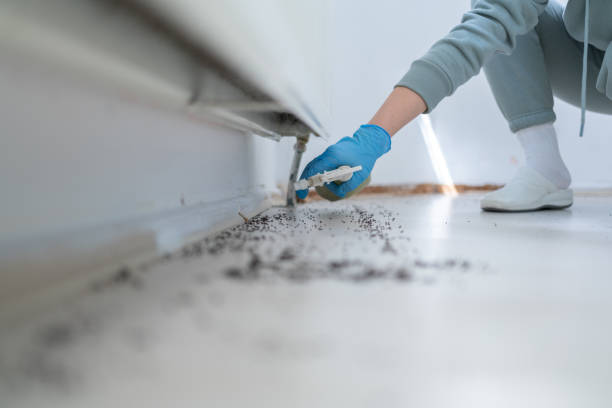 Pest Control for Restaurants in Havana, FL