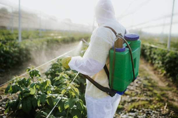 Best Residential Pest Control  in Havana, FL